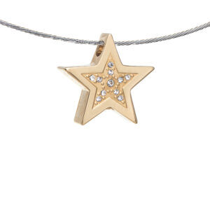 08105-00 Ster ashanger met 11 stenen
